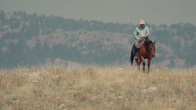 A Life of Studying Horses - The Ken McNabb Story presented by Weaver Leather