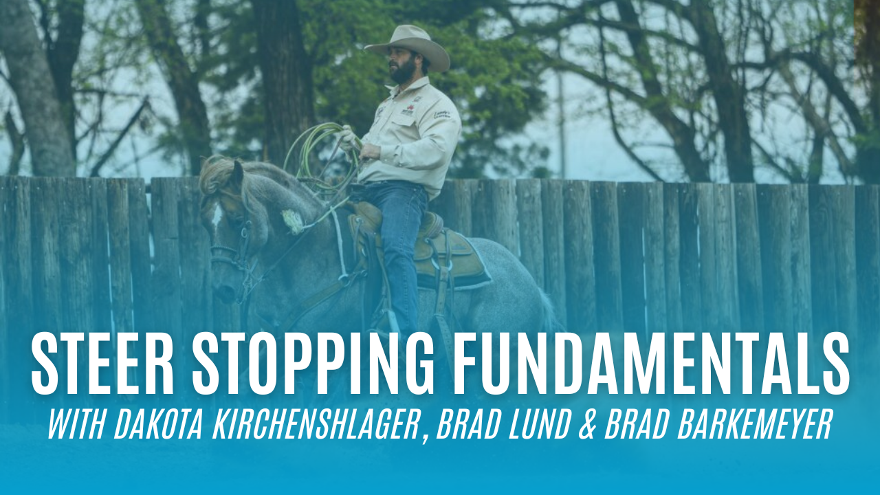 Steer Stopping Fundamentals