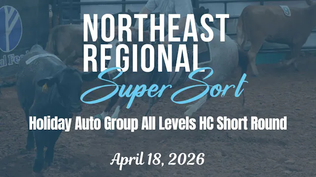 Holiday Auto All Levels HC Short Roun...