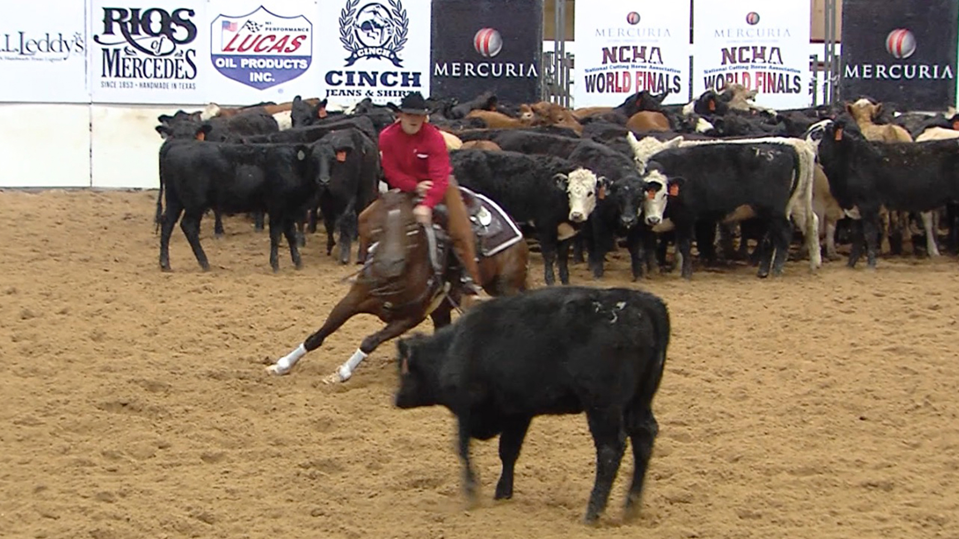 2017 NCHA World Finals Open