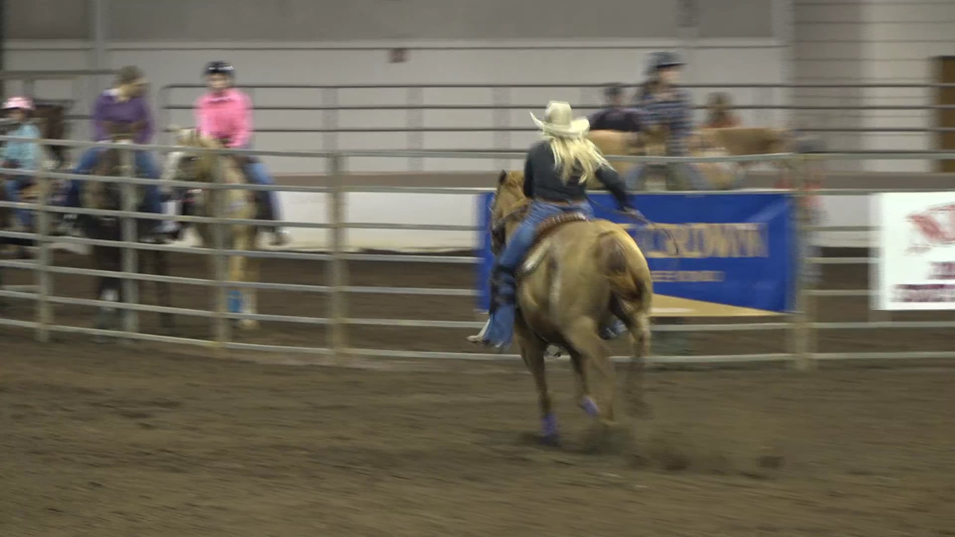 2019 NBHA GA Y1 #161-165