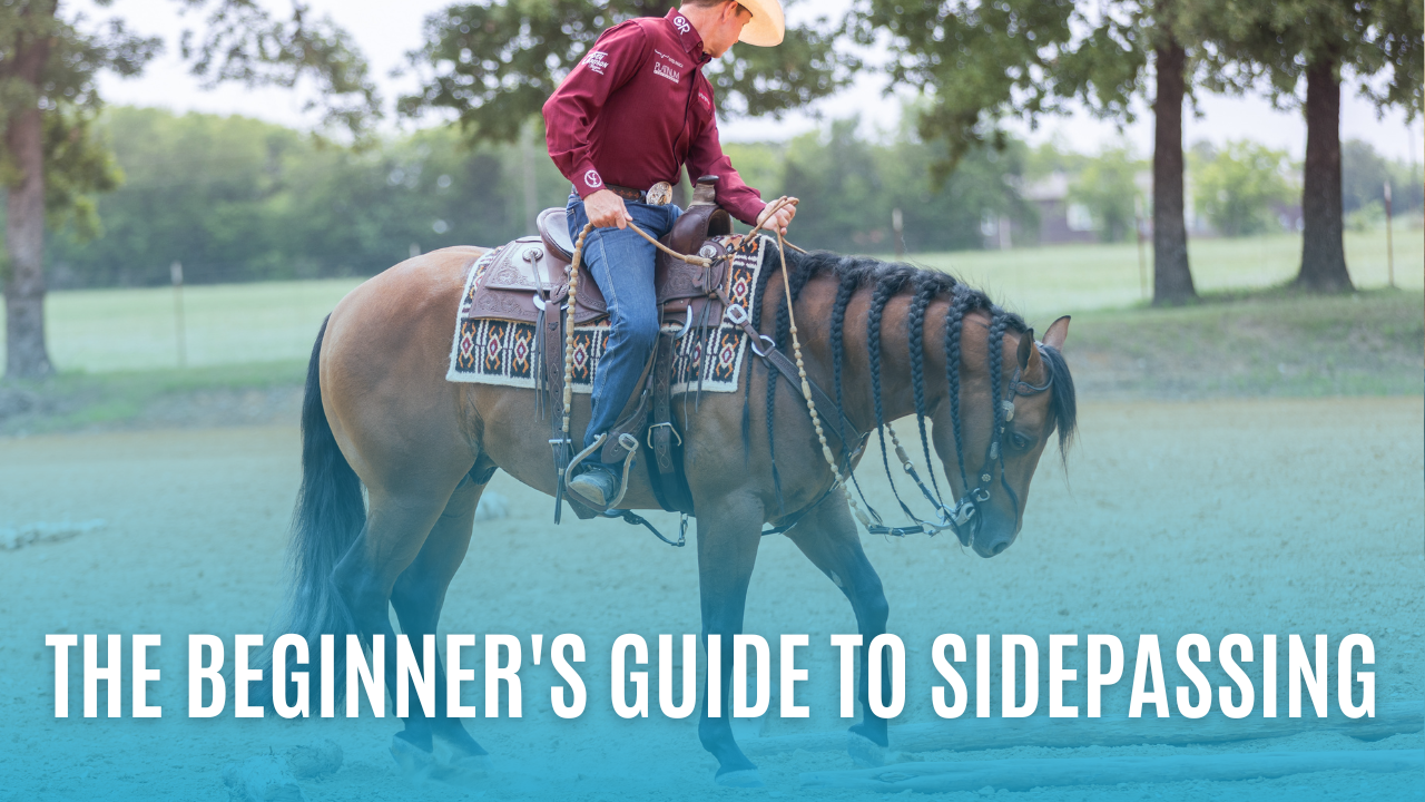 The Beginner's Guide to Sidepassing