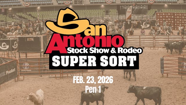 WH & More | San Antonio Stock Show & ...