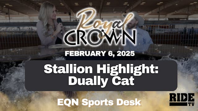 Stallion Highlight: Dually Cat | Roya...