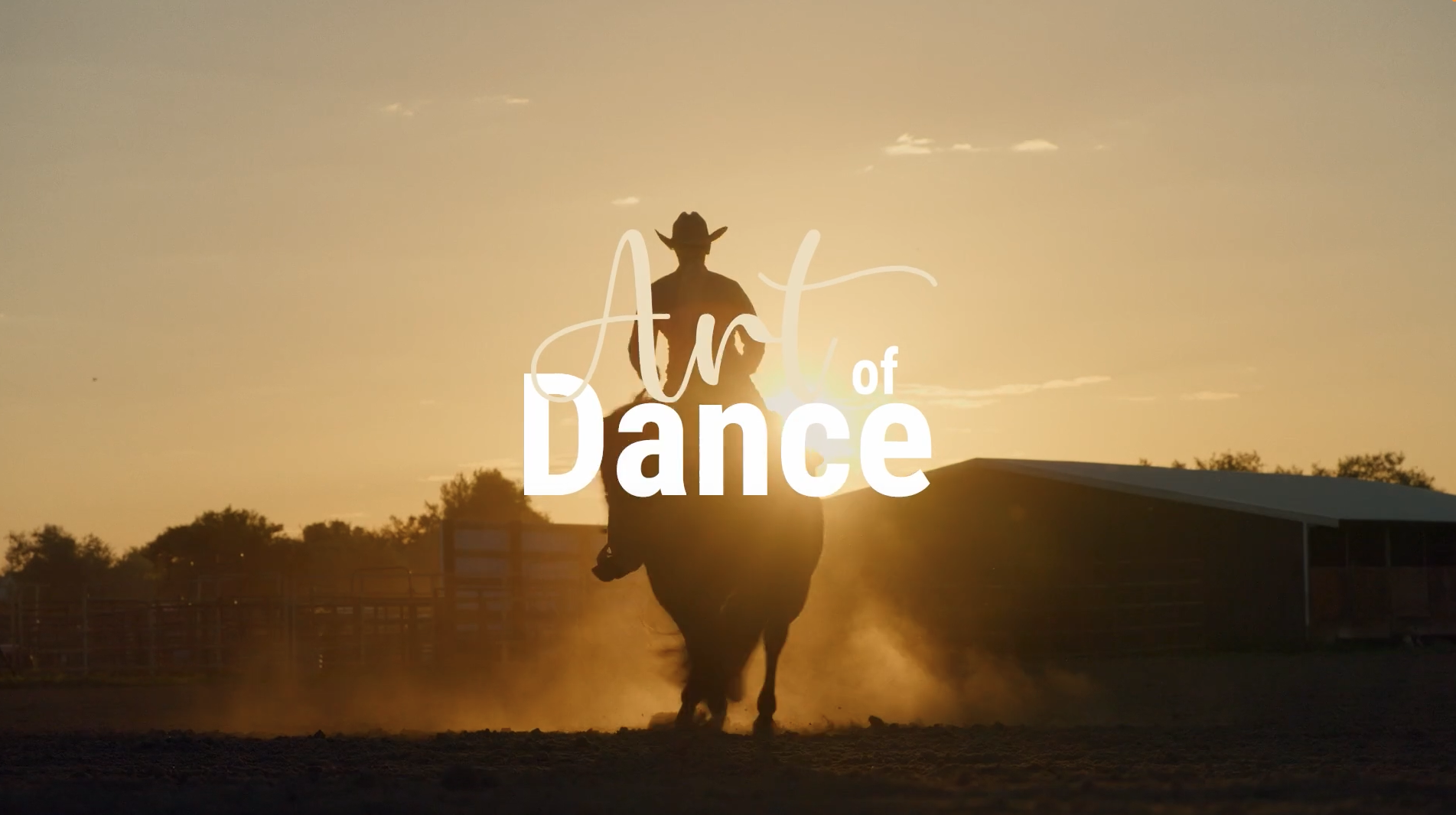 Art of Dance brought to you by Boehringer Ingelheim