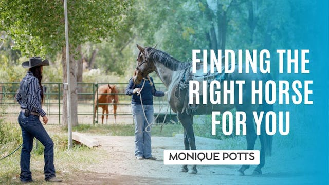 Finding the Right Horse for You