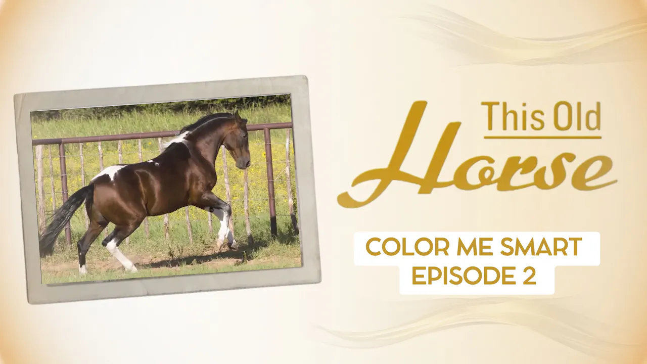 Color Me Smart - RIDE TV