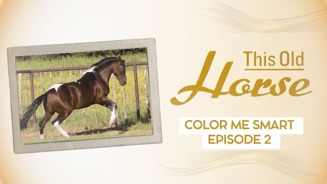 Color Me Smart RIDE TV