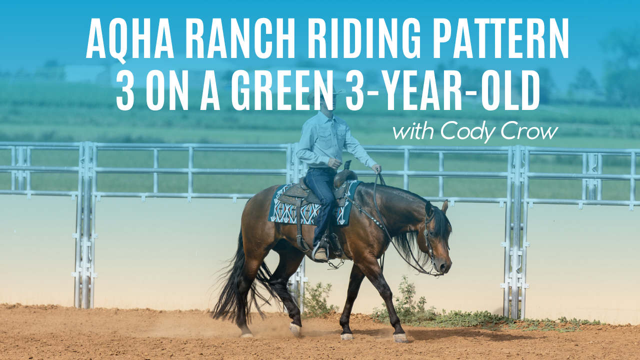 Cody Crow: AQHA Ranch Riding Pattern 3 on a Green 3-Year-Old