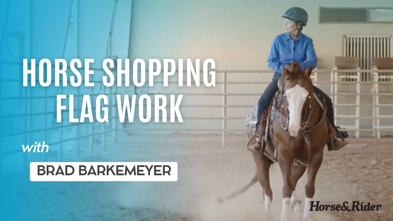 Horse Shopping: Flag Work