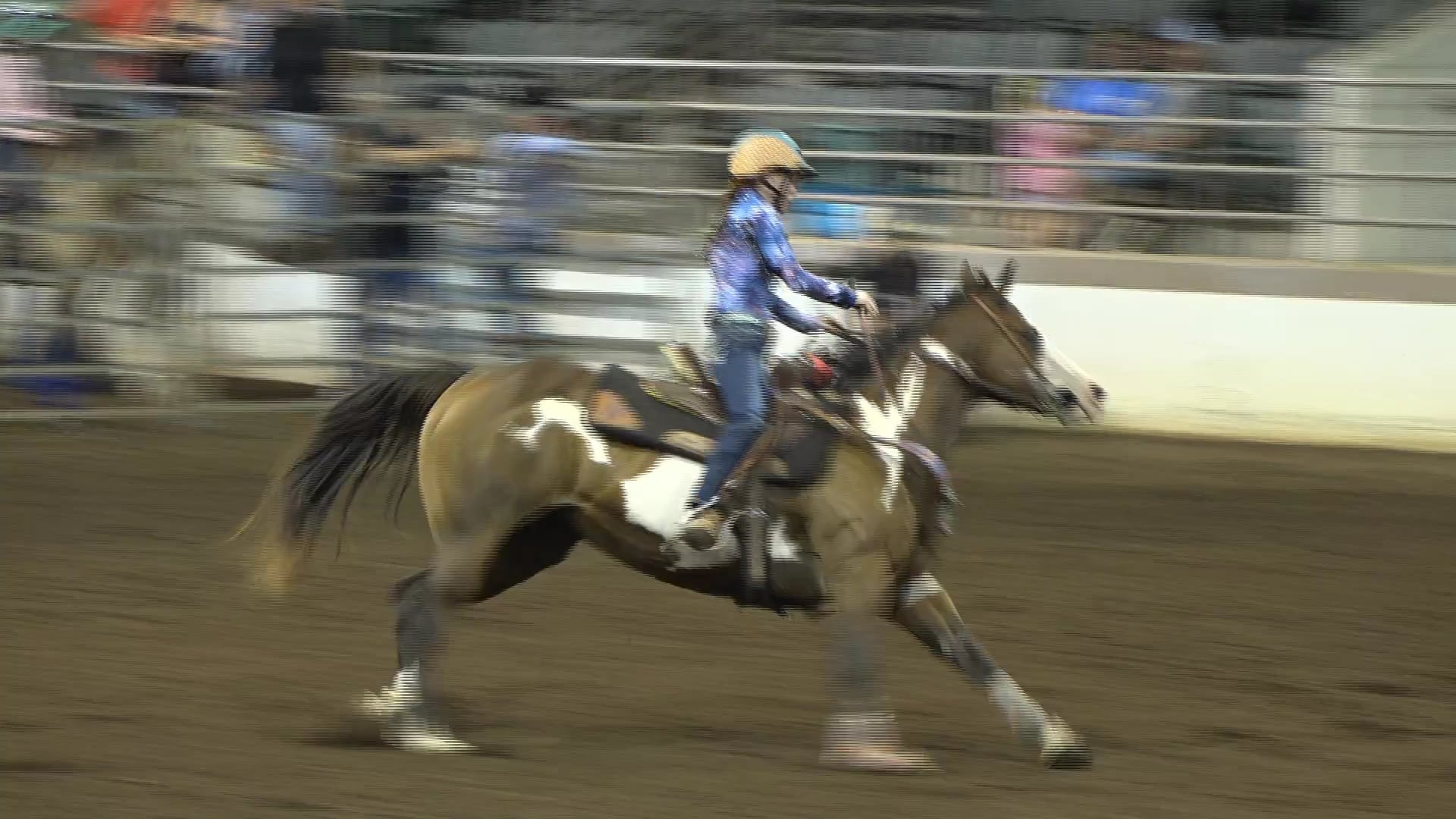 2019 NBHA GA Op1 #431-435