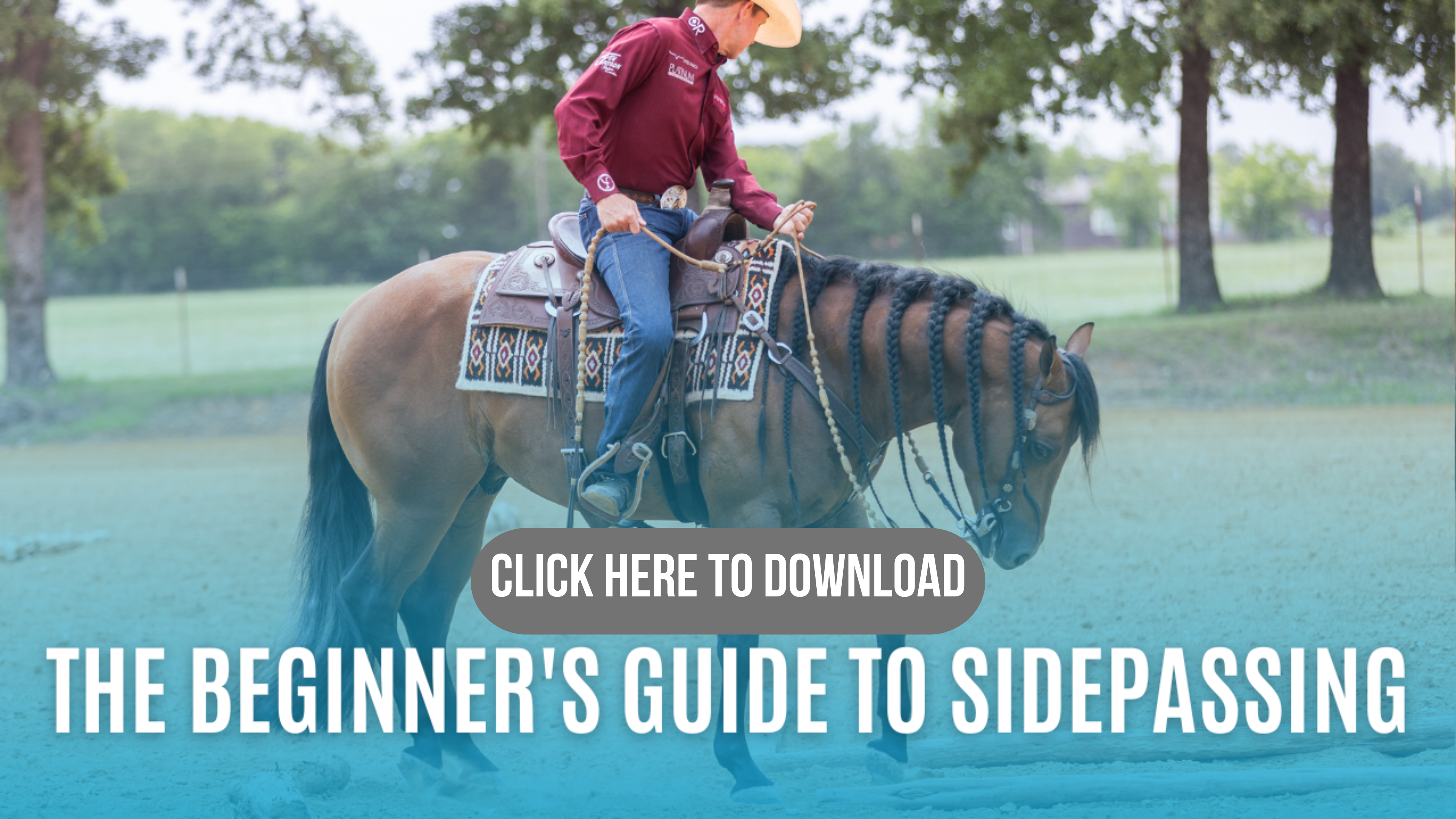 The Beginner’s Guide to Sidepassing