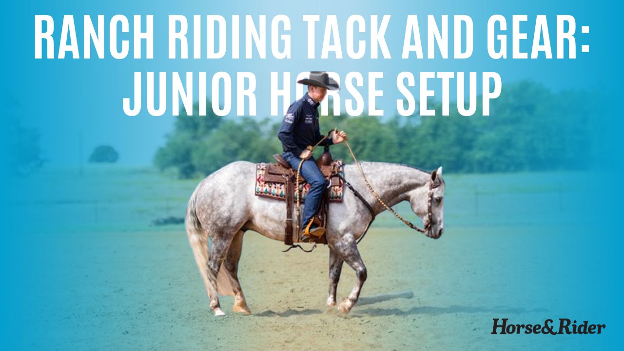 Ranch Riding Tack and Gear: Junior Horse Setup