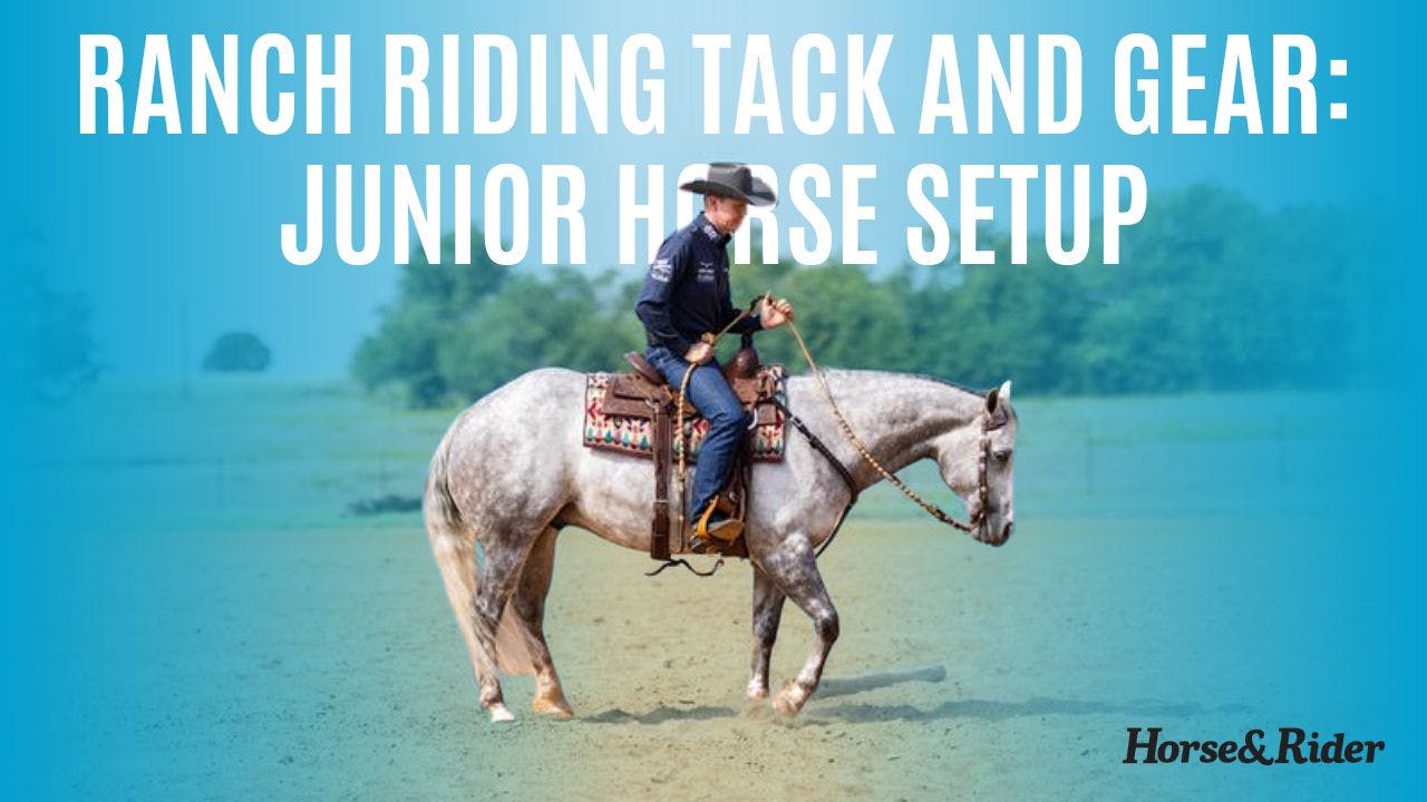 Ranch Riding Tack and Gear: Junior Horse Setup - Bud Lyon's Ranch ...