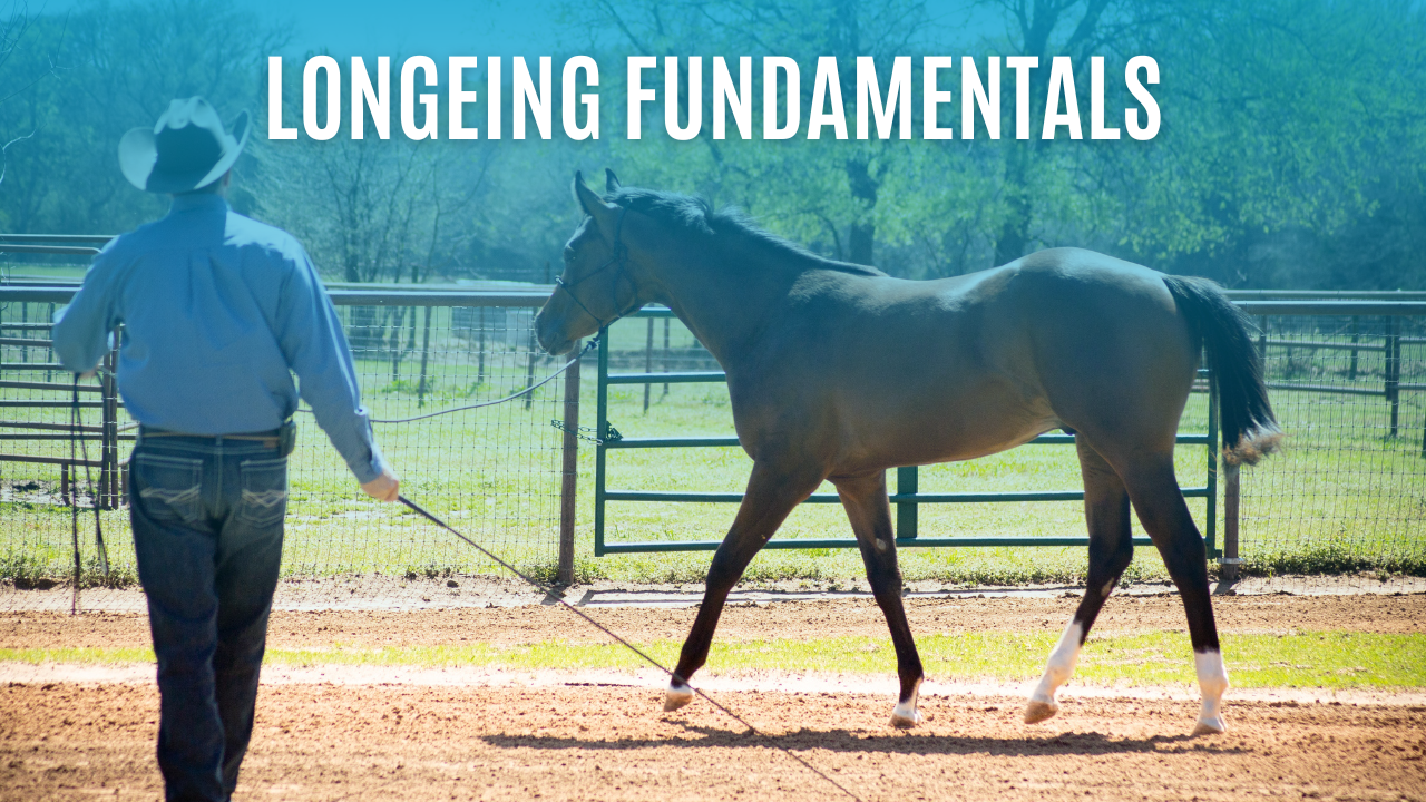 Longeing Fundamentals