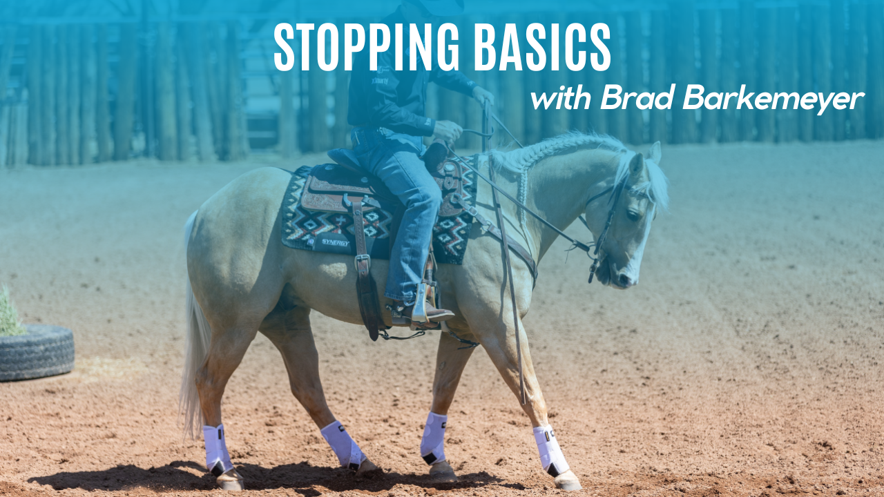 Stopping Basics