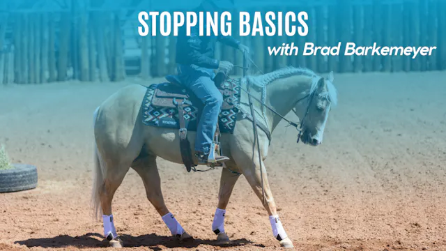 Stopping Basics