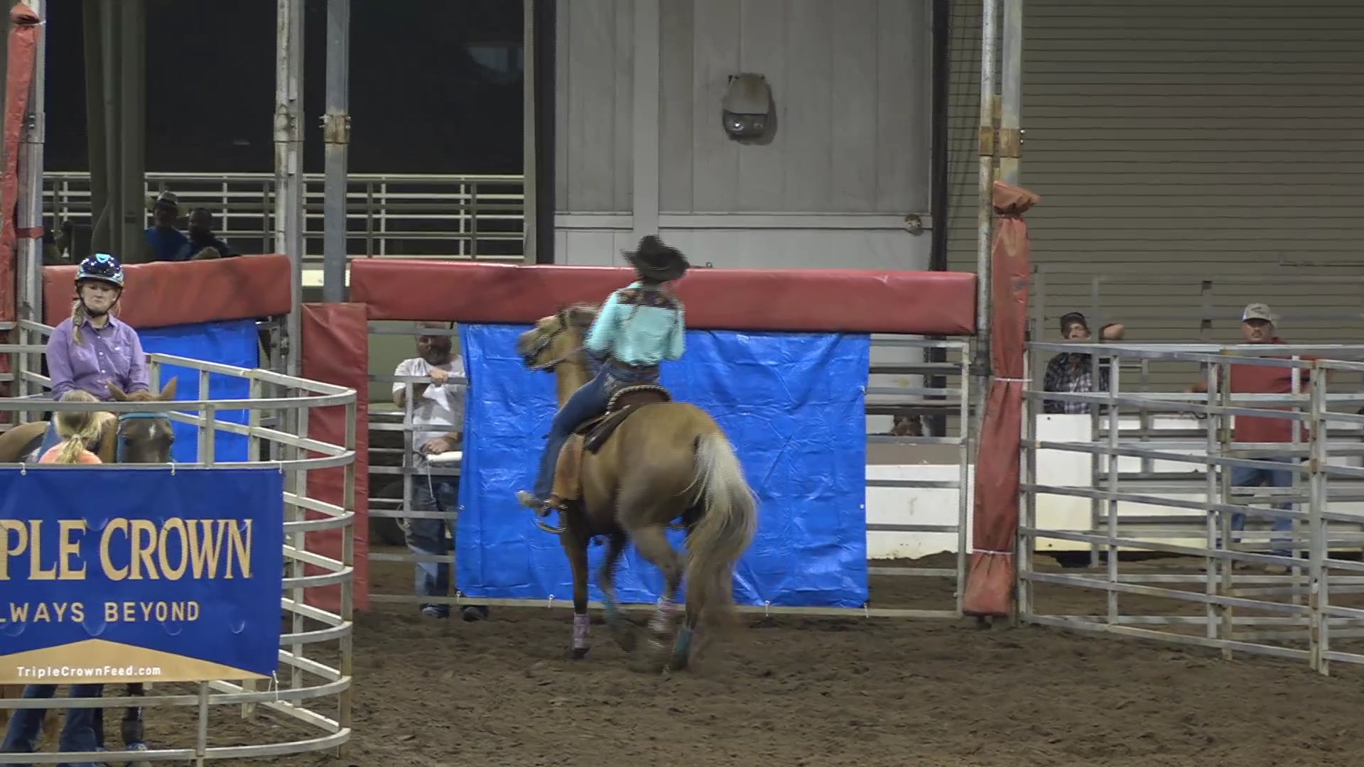 2019 NBHA GA Y1 #076-080