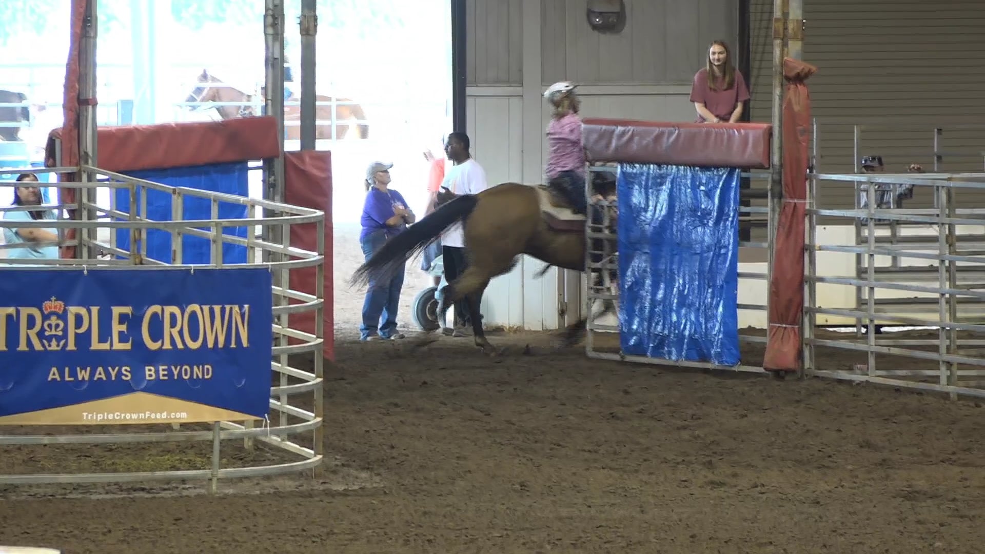 2019 NBHA GA Op2 #190-186