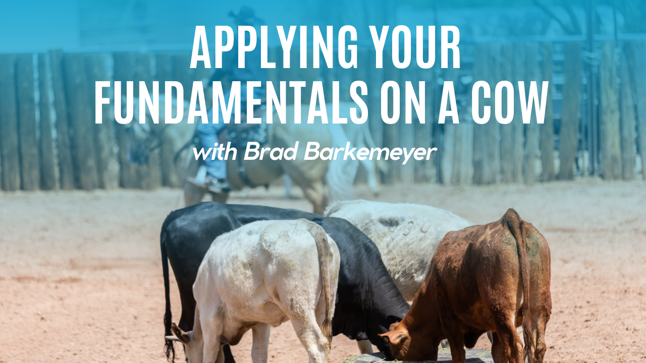 Applying Your Fundamentals on a Cow