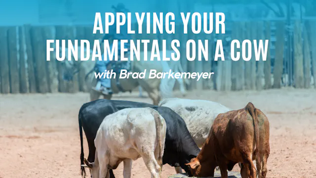 Applying Your Fundamentals on a Cow