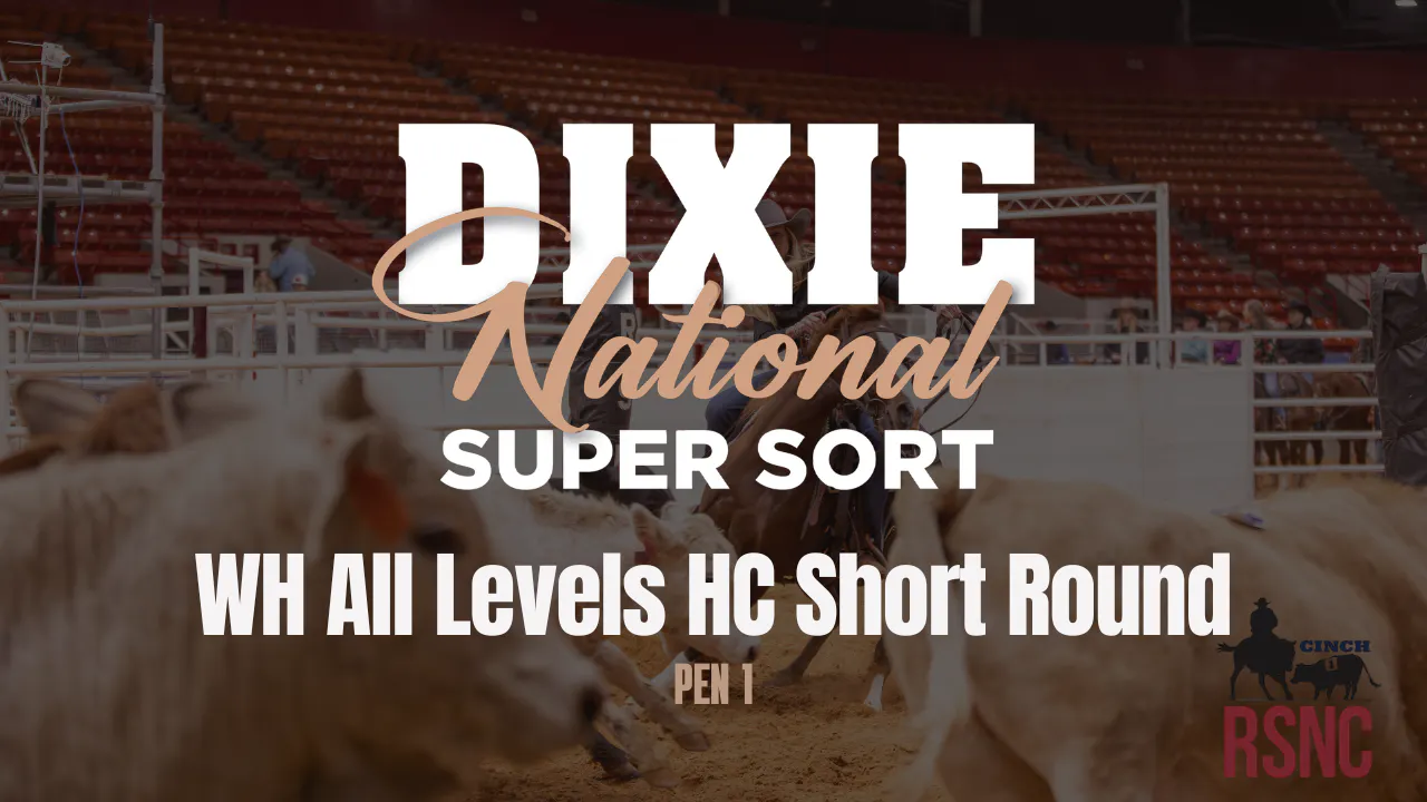 WH All Levels HC Short Round | Cinch RSNC Dixie National Super Sort | 2 ...