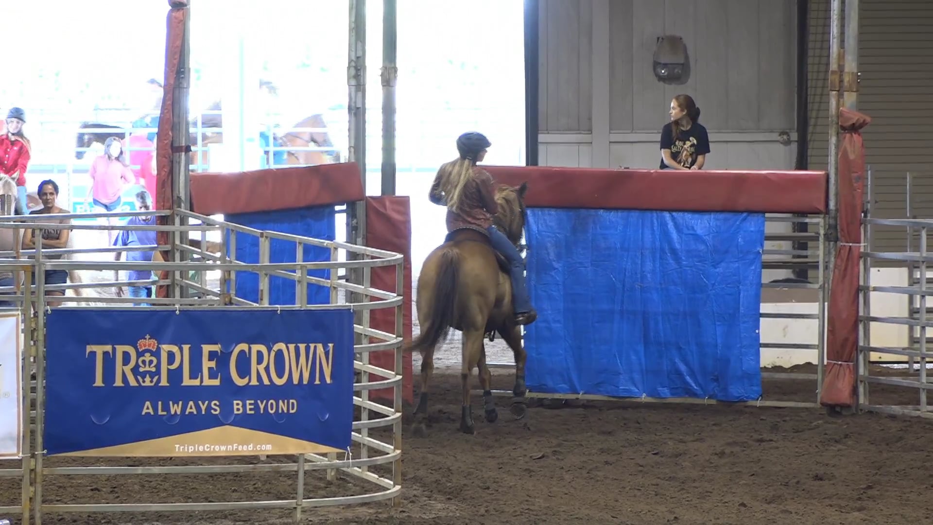 2019 NBHA GA Op2 #385-381