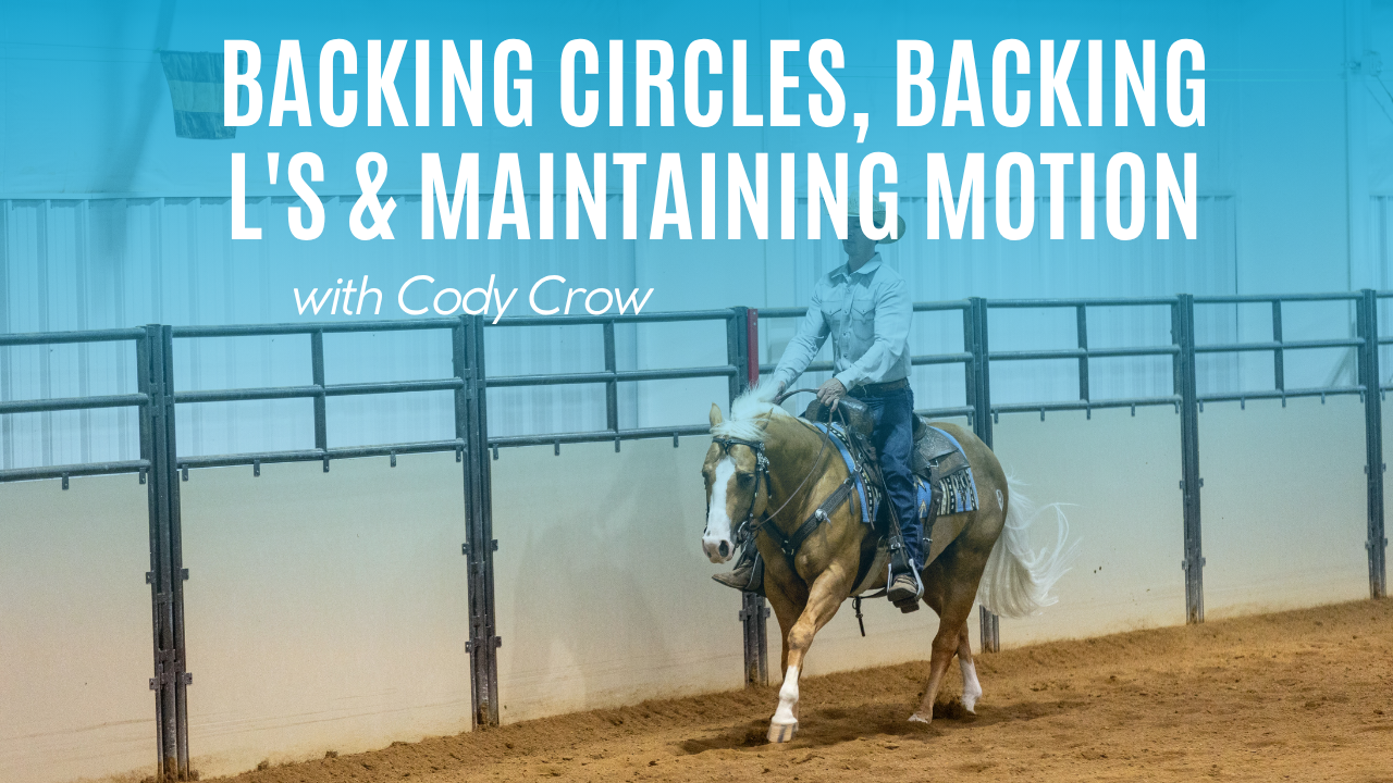Cody Crow: Backing Circles, Backing L's & Maintaining Motion