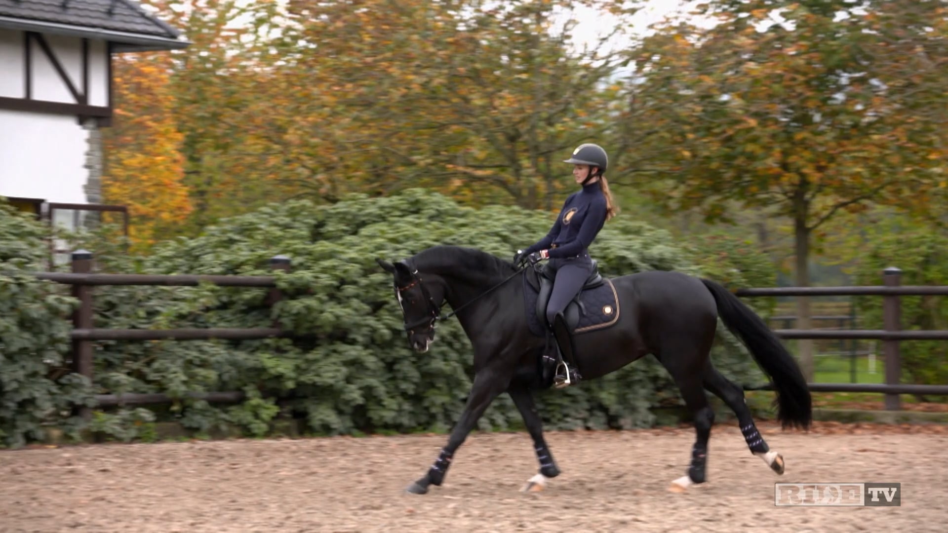 Equestrian World Shorts- Sönke & Semmieke Rothenberger