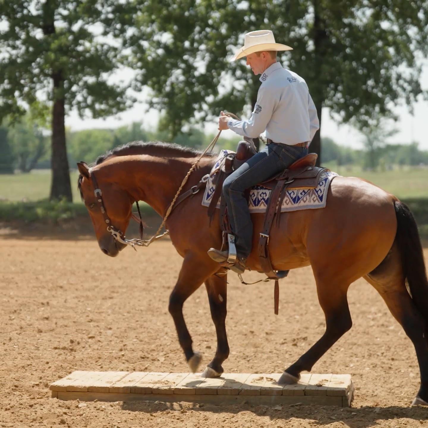 d_HROD_BUD_LYON_MAY_2025_PROMO_30SQUARE_V1