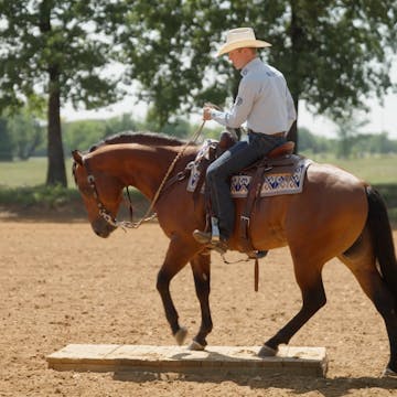 d_HROD_BUD_LYON_MAY_2025_PROMO_30SQUA...