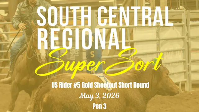 #5 Gold Short Round | Cinch RSNC Sout...