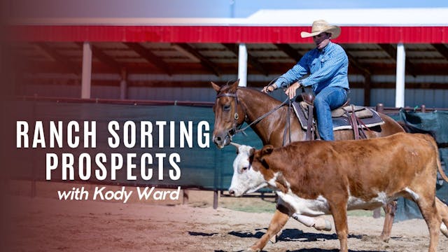 Ranch Sorting Prospects With Kody Ward