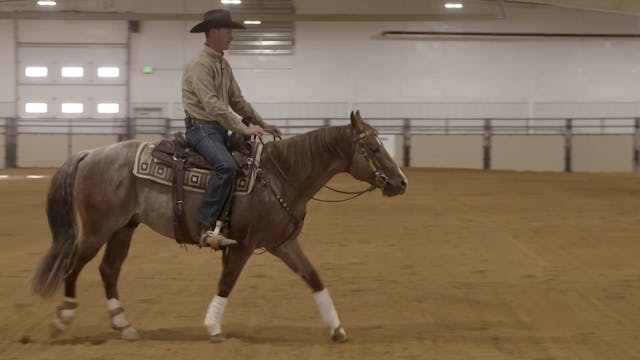 Introducing your Versatility Ranch Ho...