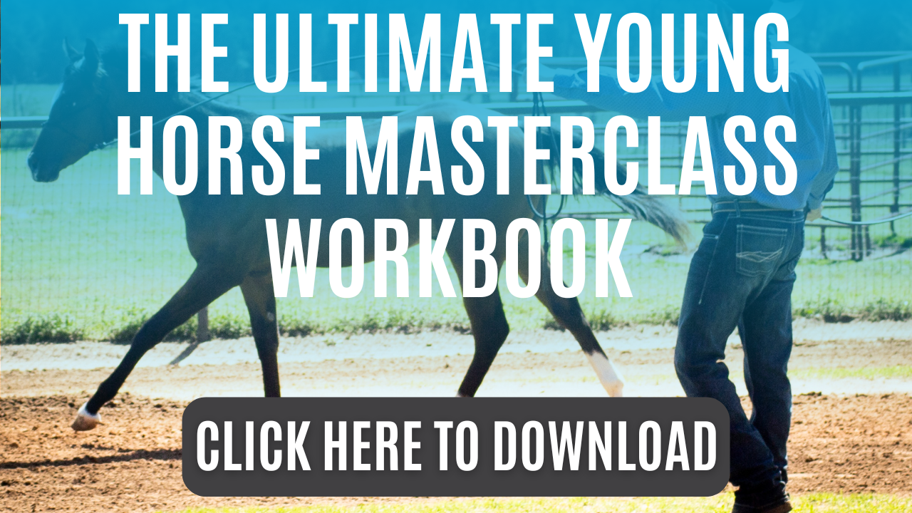 The Ultimate Young Horse Workbook