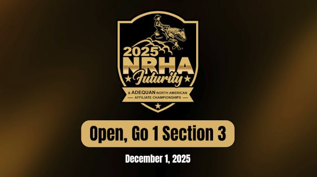 Open, Go 1, Section 3 | NRHA Futurity...