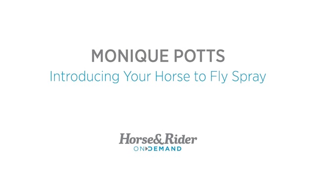 Introducing Your Horse to Fly Spray