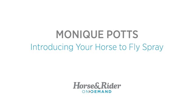 Introducing Your Horse to Fly Spray