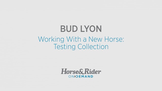 Working With a New Horse:Testing Collection