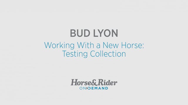 Working With a New Horse:Testing Coll...