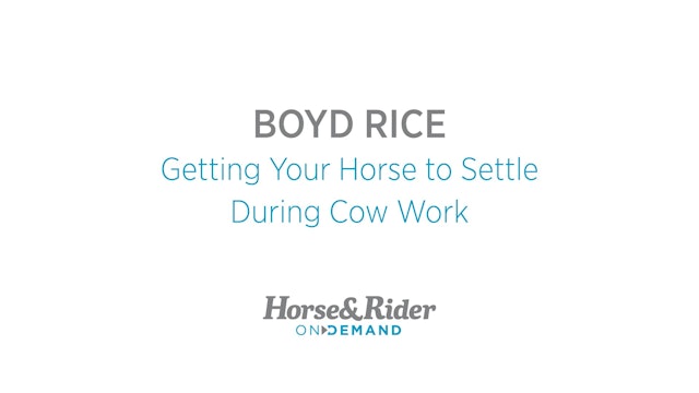 Getting Your Horse to Settle During Cow Work