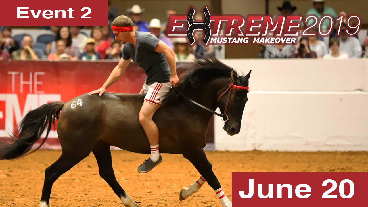 Extreme Mustang Makeover: Youth Handling & Conditioning