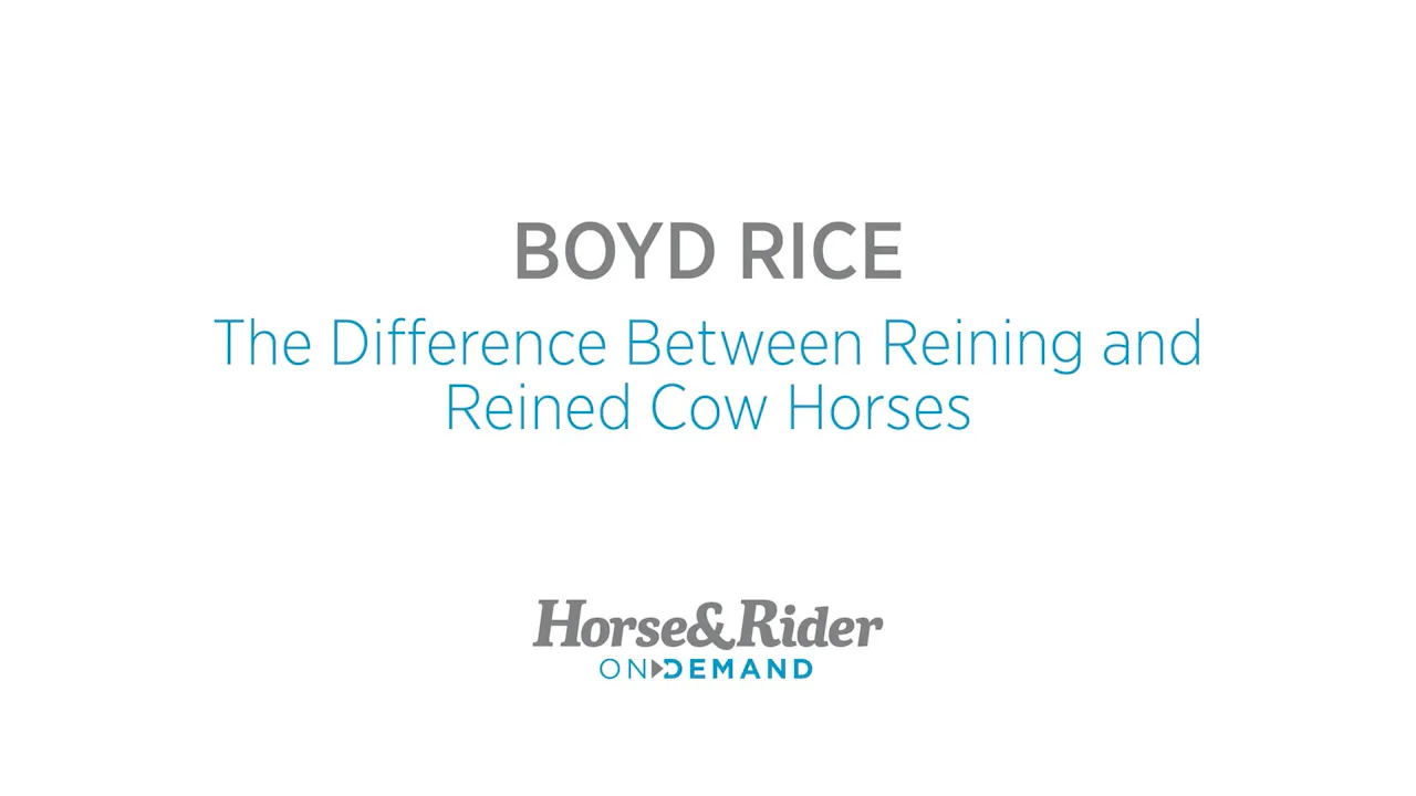 The difference between reining and reined cow horses - RIDE TV