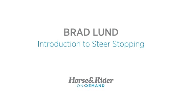 Introduction to Steer Stopping
