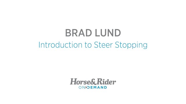Introduction to Steer Stopping