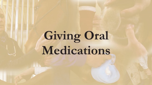 How to Give Oral Medications