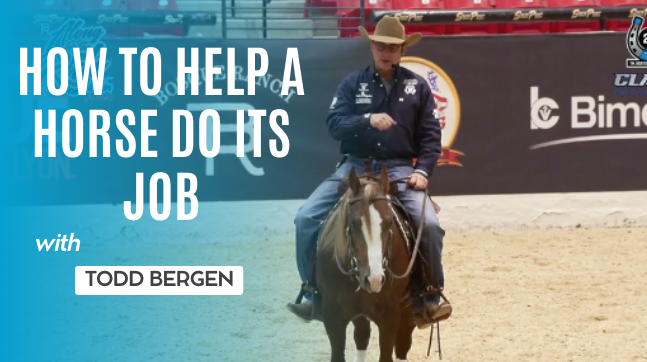 How to Help a Horse Do Its Job with Todd Bergen