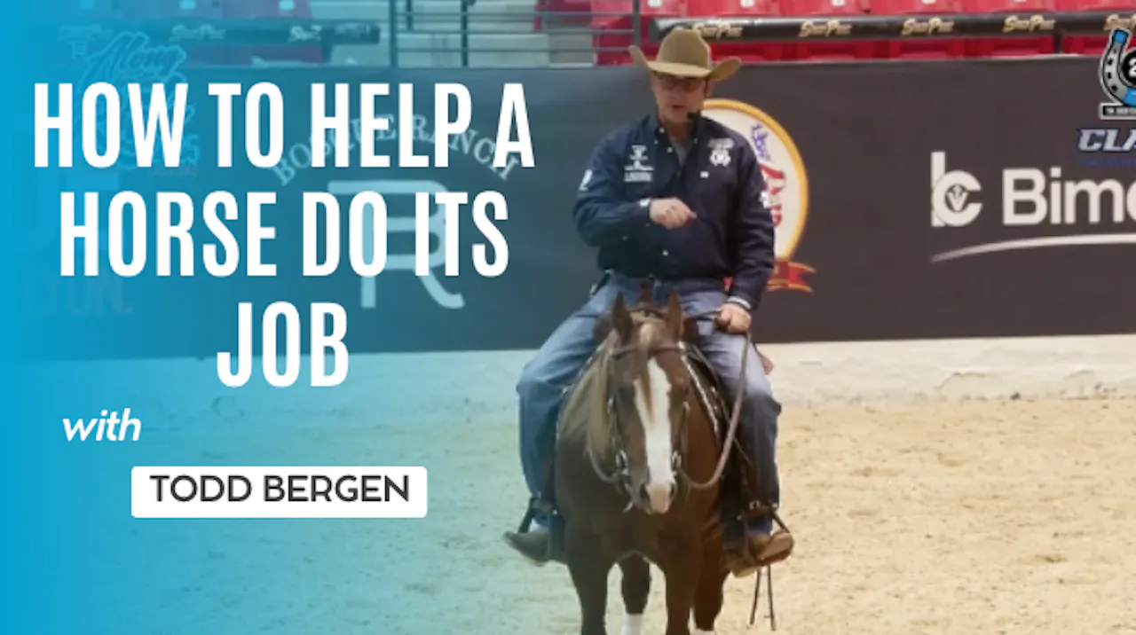 How to Help a Horse Do Its Job with Todd Bergen - Along For The Ride ...