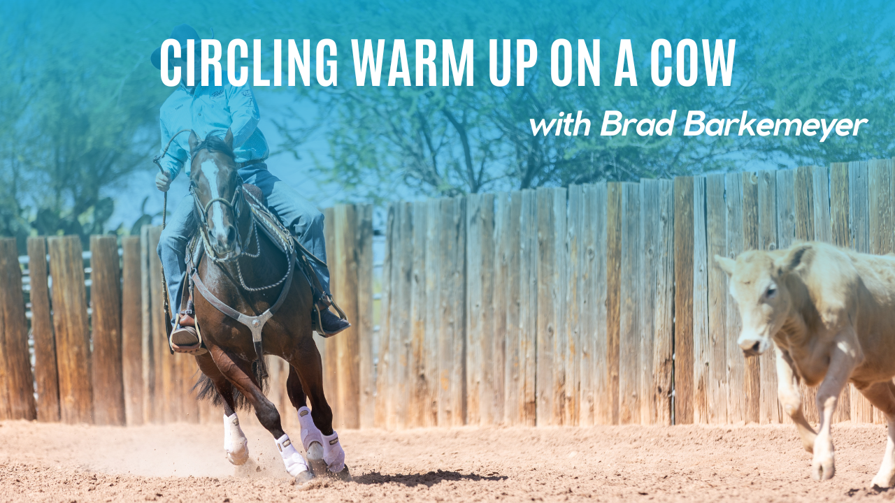 Circling Warm Up on a Cow with Brad Barkemeyer