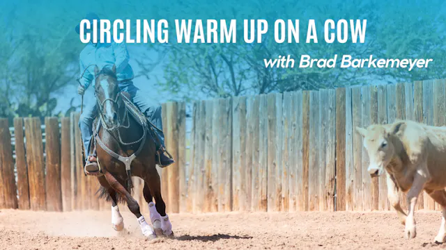 Circling Warm Up on a Cow with Brad B...